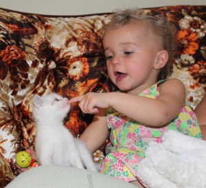 Toddler and kitten