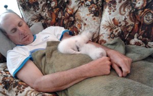 Fred Perron and kittens sleeping