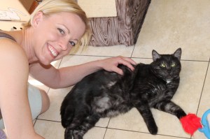 Adult cat at Nelson BC SPCA