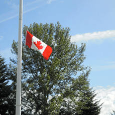 Flag at half mast for Kelly Collins