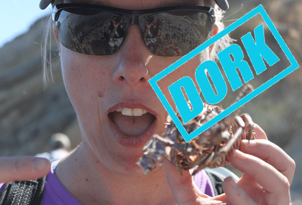 Dork 2